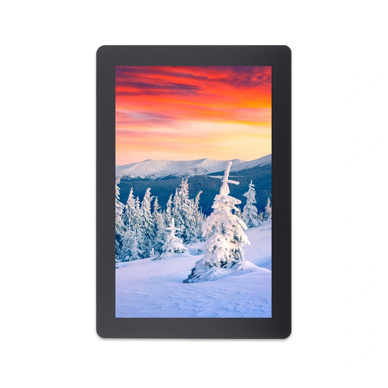 Módulo LCD de interfaz IPS MIPI de 10,1 pulgadas de 800x1280 resolución